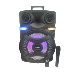 Караоке Тонколона PA 152 15 инча, Безжичен Микрофон, акумулаторна батерия, Bluetooth, FM радио, USB 2
